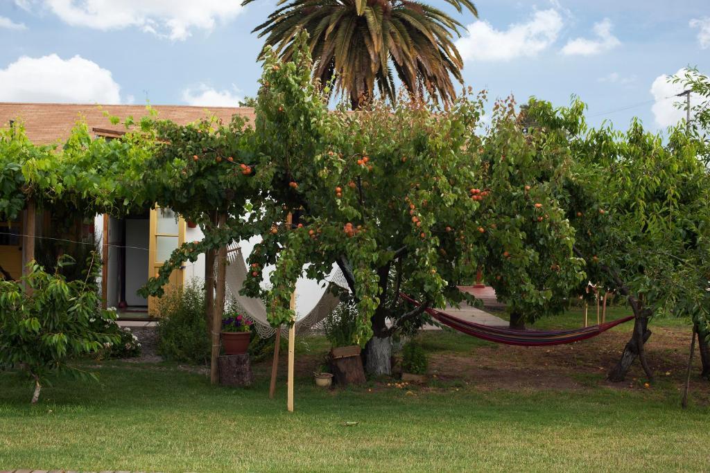 Casa Pando Bed and Breakfast Santa Cruz Exteriör bild