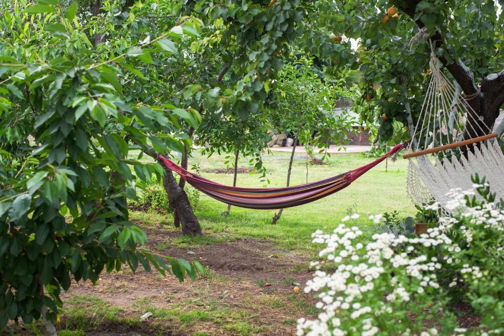 Casa Pando Bed and Breakfast Santa Cruz Rum bild